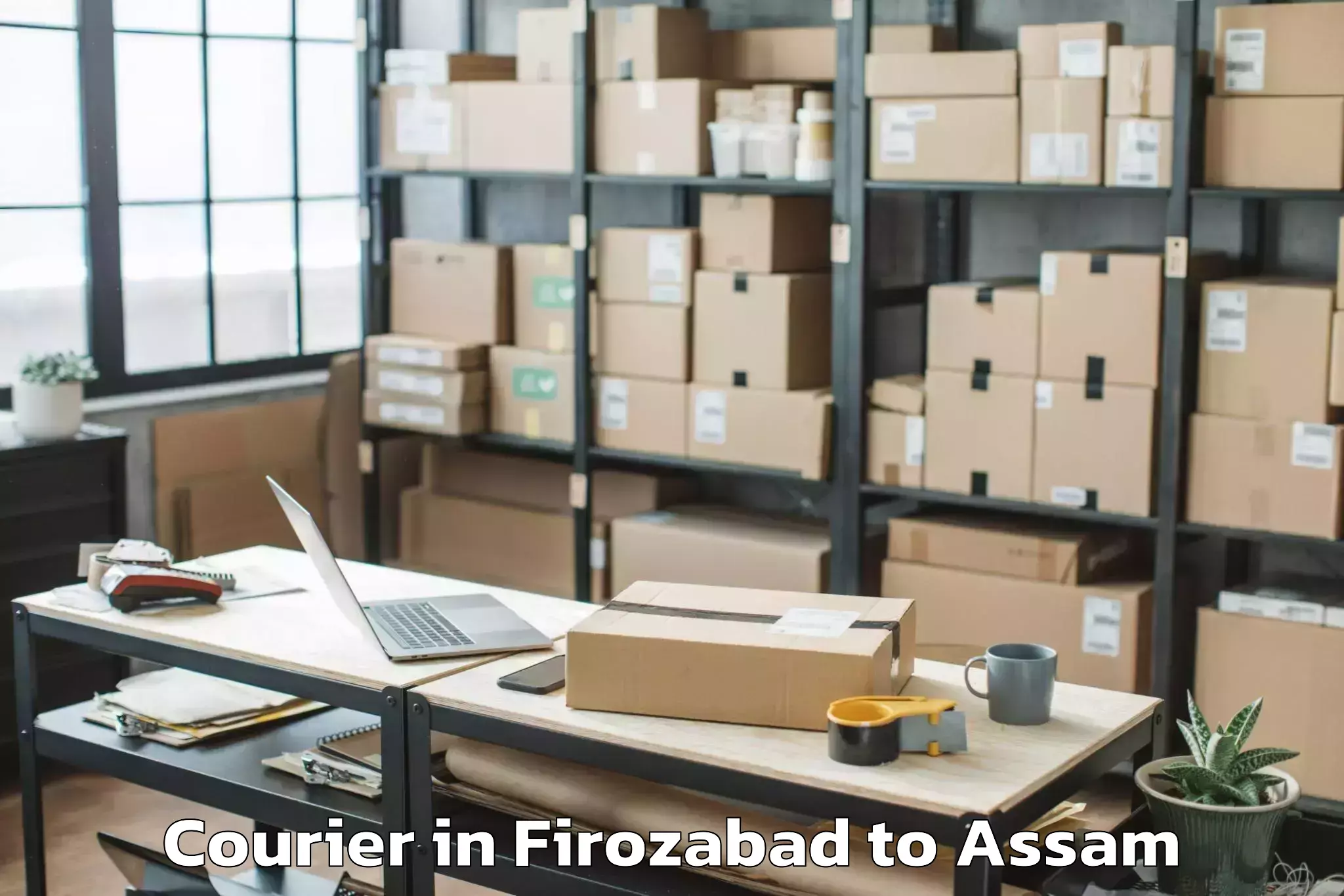 Book Firozabad to Nahorkatiya Courier